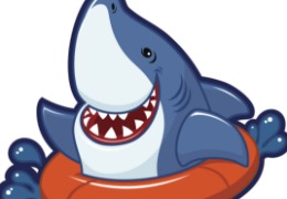 食品原料小百科：硫酸軟骨素可以用在什么地方？