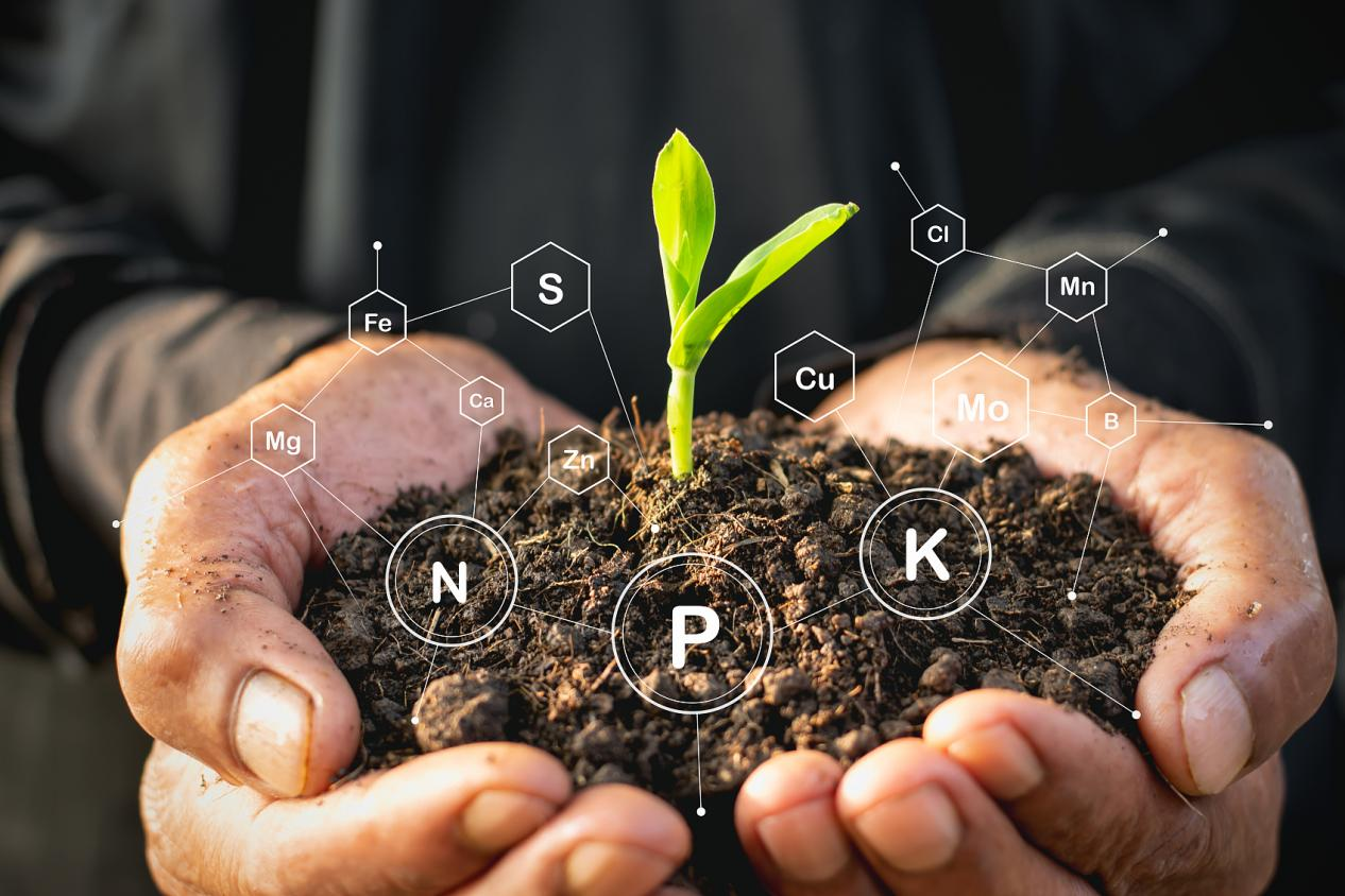 圖片8.png 圖片8.png